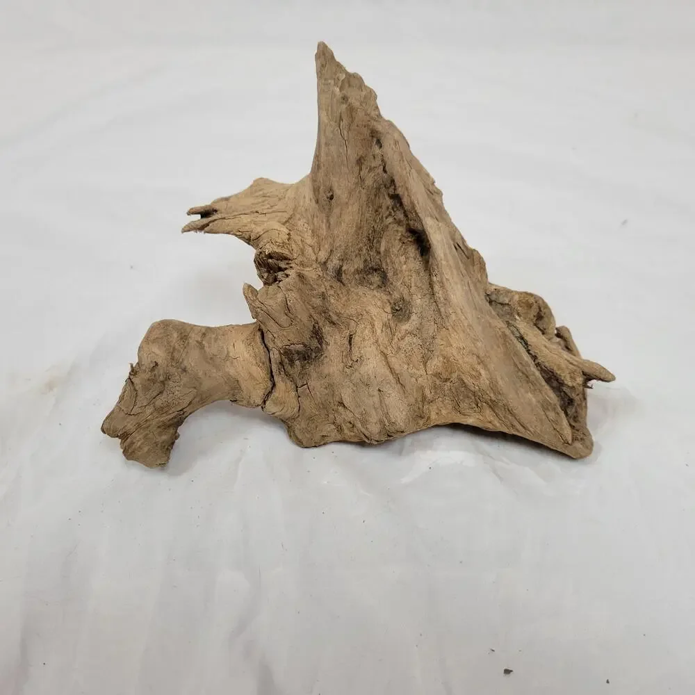 Ohio River Driftwood 8